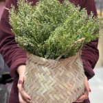 گل مصنوعی سبز طرح شویدی | Dill green artificial flower design