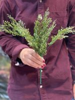 گل مصنوعی سبز طرح شویدی | Dill green artificial flower design - تصویر 5